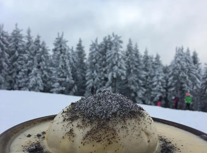 Hotel-gasthof Sonnenbichl 3* Oberwössen